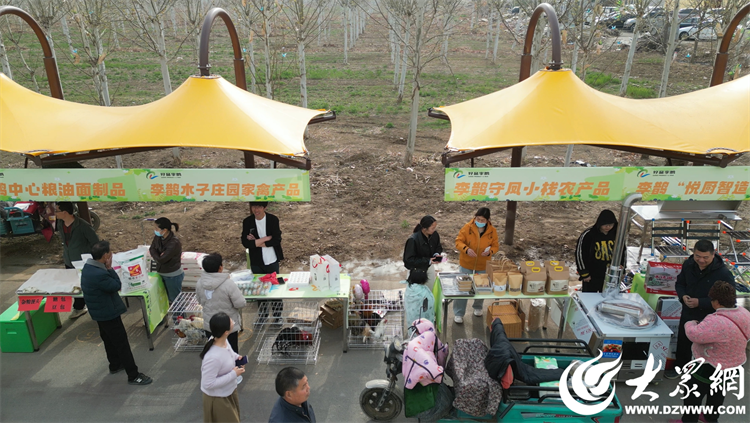匠心傳承，共富同行 廣饒縣李鵲鎮“好品李鵲共富市集”上的麥秸畫藝術
