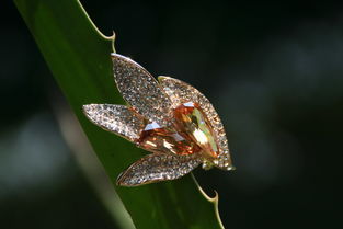歌詩莉飾品 麥秸畫藝術點亮店鋪裝修，展現獨特產品魅力
